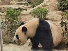 -石排湾郊野公园