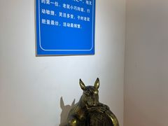 -浙北大峡谷