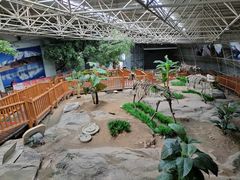 -中国第四纪冰川遗迹陈列馆