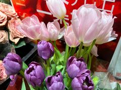 -盒马鲜生(首义店)