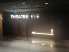 -金逸影城(宝安大仟里IMAX激光店)