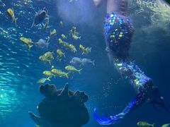 -太平洋海底世界