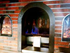 -同喜烤鸭店(光芒店)