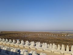 -南汇嘴观海公园