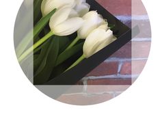 -王尔德与花