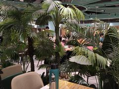 -春润大地海南椰子鸡(沙井京基百纳广场店)