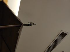 -金牌老碗时尚陕菜(王府井百货店)