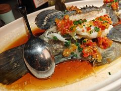 -阿拉斯加·海货(马王堆店)