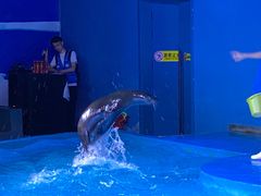 -石家庄海洋公园
