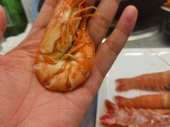 -乔哥铭洋海鲜自助(皇城恒隆广场店)