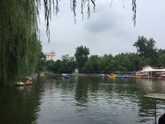 -莲湖公园