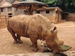 -昆明动物园