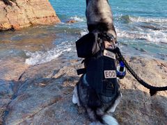 -碧桂园十里银滩