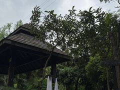-融汇温泉