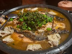 鲜青椒爽麻烤鱼-探鱼·鲜青椒爽麻烤鱼(北京路天河城店)