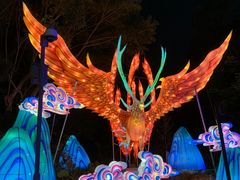 -欢乐海岸椰林沙滩-2025湾区超级灯会