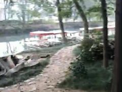 -汉中石门栈道景区