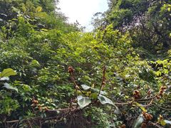 -亚婆田·白水寨生态旅游度假区