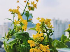 -漕溪路(地铁站)