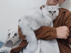 -美联众合动物医院·24h转诊中心