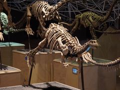 -世界恐龙谷景区