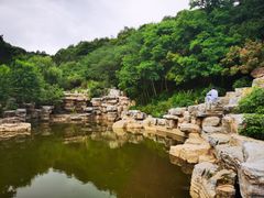 -北京西山国家森林公园