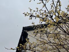 -青果巷历史文化街区