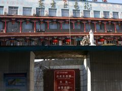 -东方巨龟苑景区