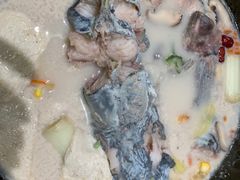 -鲜潭蒸汽石锅鱼(五道口购物中心店)