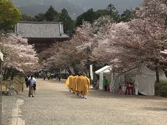 -醍醐寺