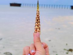 -卡帕莱度假村(西巴丹岛)