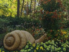 -上海共青森林公园