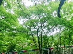 -大围山峡谷漂流
