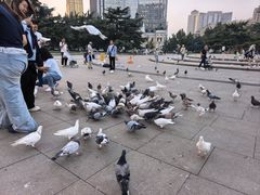 -大连人民广场