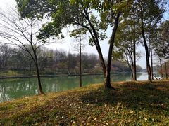 -西溪国家湿地公园