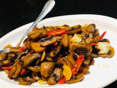 鲜椒炒口蘑-铜锣湾·有麝自然香(渝北财富中心店)