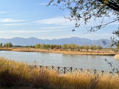 -野鸭湖国家湿地公园