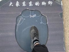 -太原动物园