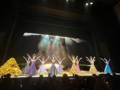 -顺德演艺中心大剧院