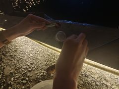 -DGE季风钓虾营地·团建·聚会