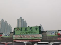 -秦美花卉(天朗·莱茵小城2期店)