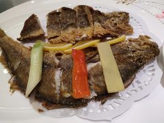 -骏莱海鲜鱼港(五角场店)