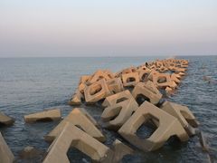 -东疆建设开发纪念公园