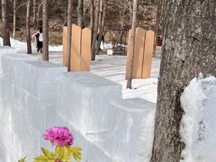 -洛阳白云山景区