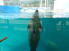 -北戴河圣蓝海洋公园