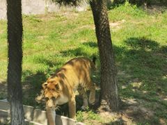 -西霞口神雕山野生动物世界
