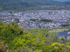-岚山猴子公园