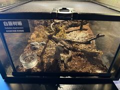 -太平洋海底世界