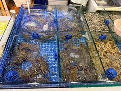 -木木鲜海鲜面(天一店)