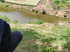 -南湖梦幻岛